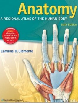 Anatomy : a regional atlas of the human body